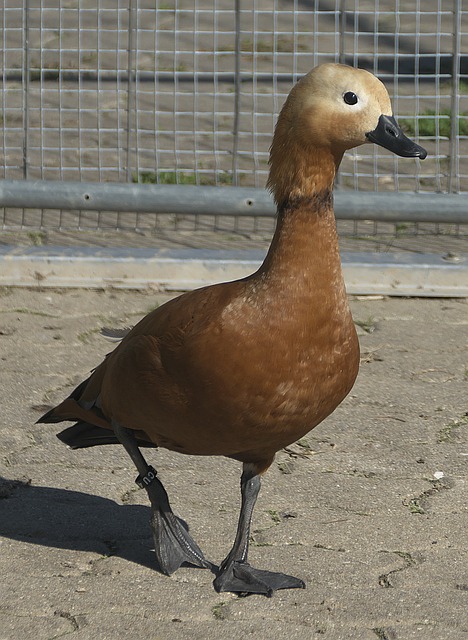 有关
