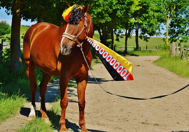 分析当前西 分析当前西