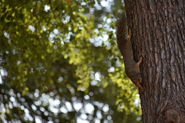 减少对自然 减少对自然