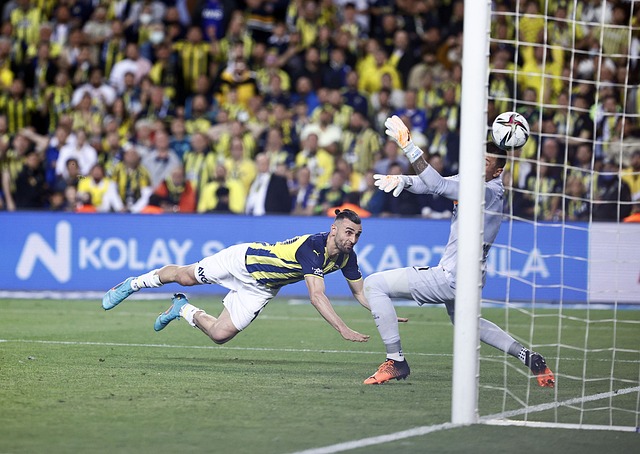 的消息无疑 的消息无疑