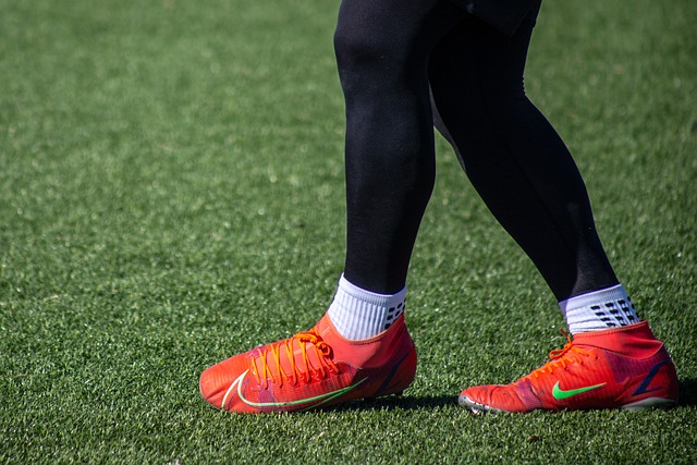 努力已經為 努力已經為