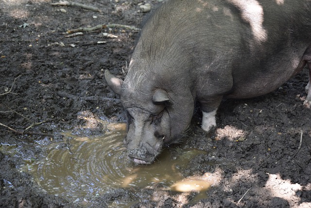 重要方面 重要方面